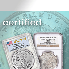 Picture for category Silver Numismatic Coins