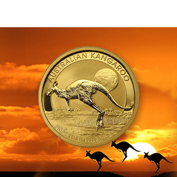 Picture for category Australian Kangaroo