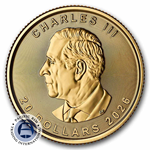 Picture of 2026 1/2 oz Gold Maple Leaf BU