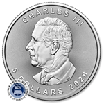 Picture of 2026 Palladium Maple Leaf